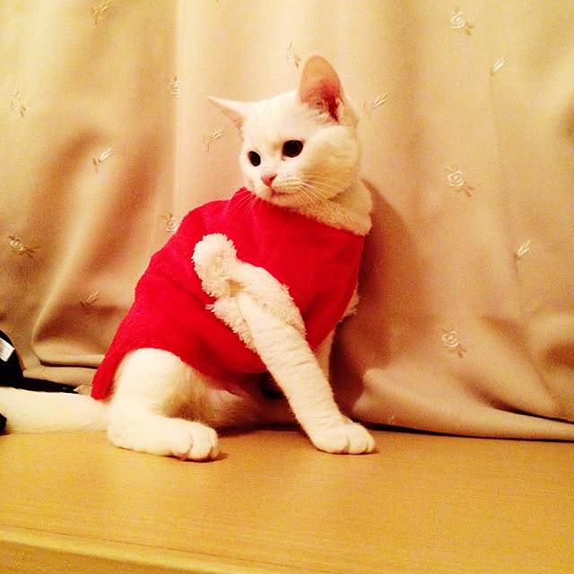 ma72さんの実例写真