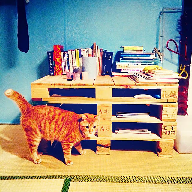 eriさんの実例写真