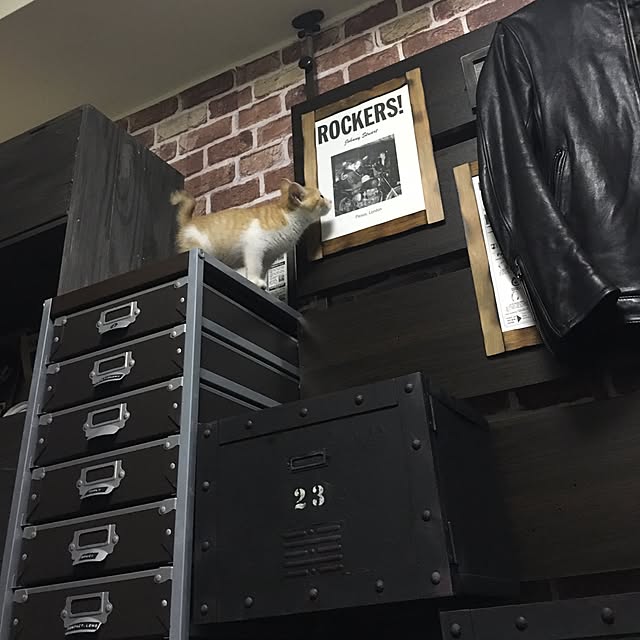 実例写真