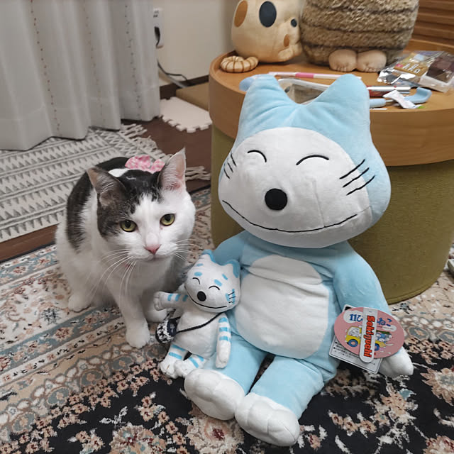 yuuさんの実例写真