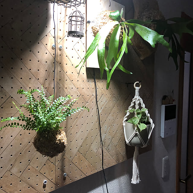 CoffeeHouseさんの部屋