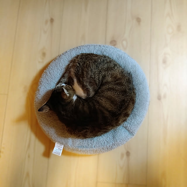 nanaさんの実例写真