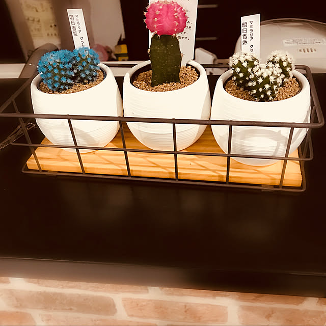 nahoさんの実例写真
