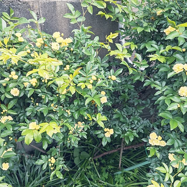 hiroさんの部屋
