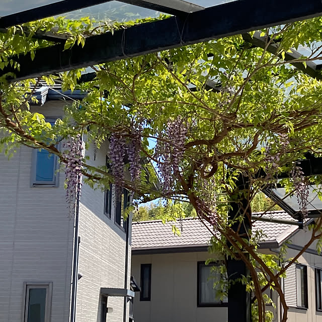 kirakirahoshiさんの部屋