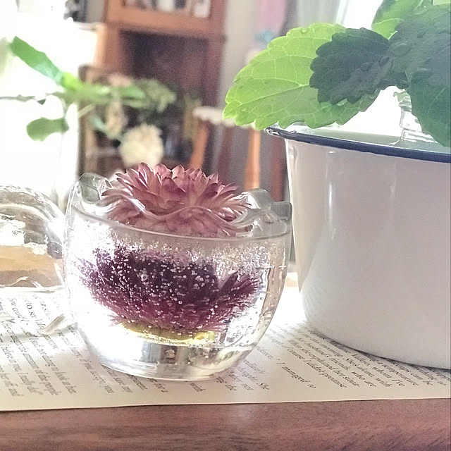 mockさんの実例写真