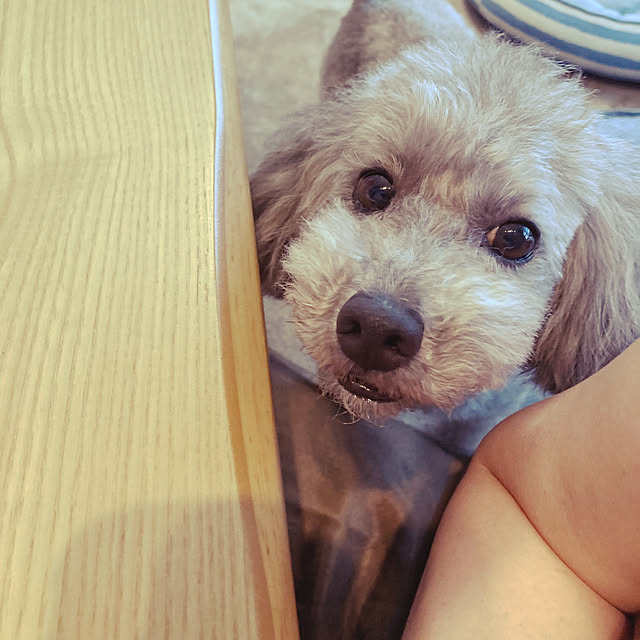 coochanさんの部屋