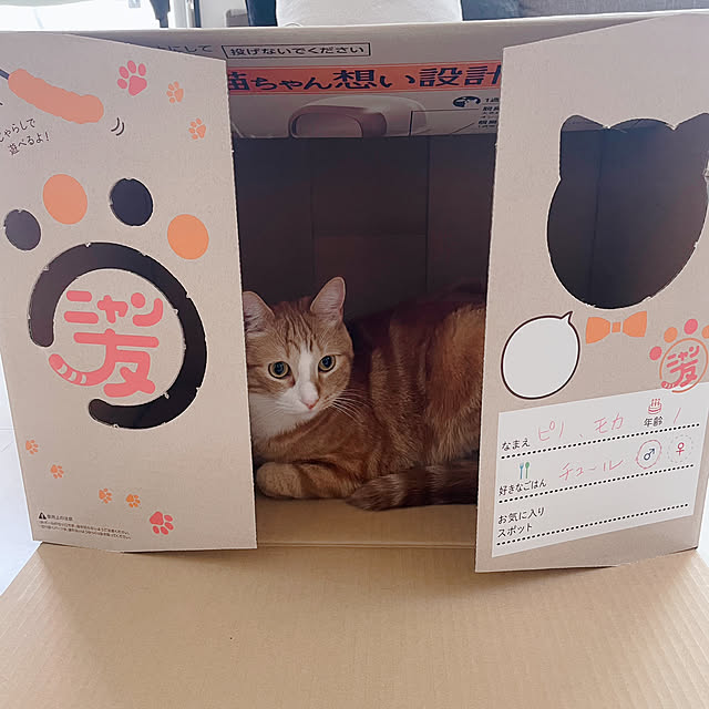 maimaiさんの部屋