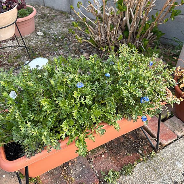 ritsukoさんの部屋