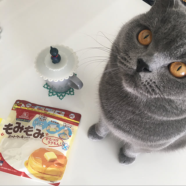 kittyさんの実例写真