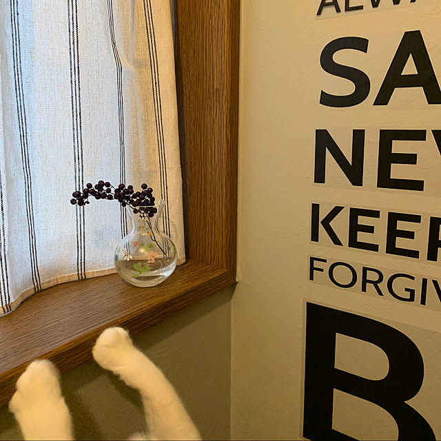 keiさんの実例写真