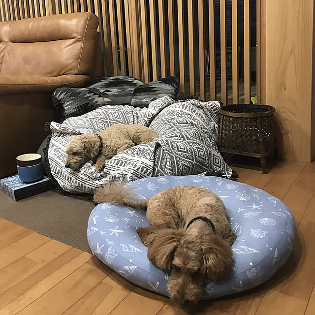 yukichi.wanwaさんの実例写真