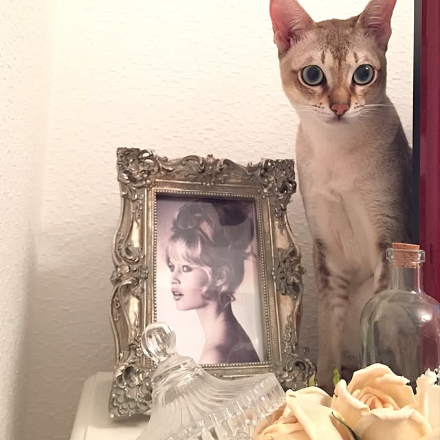 a-mkさんの実例写真