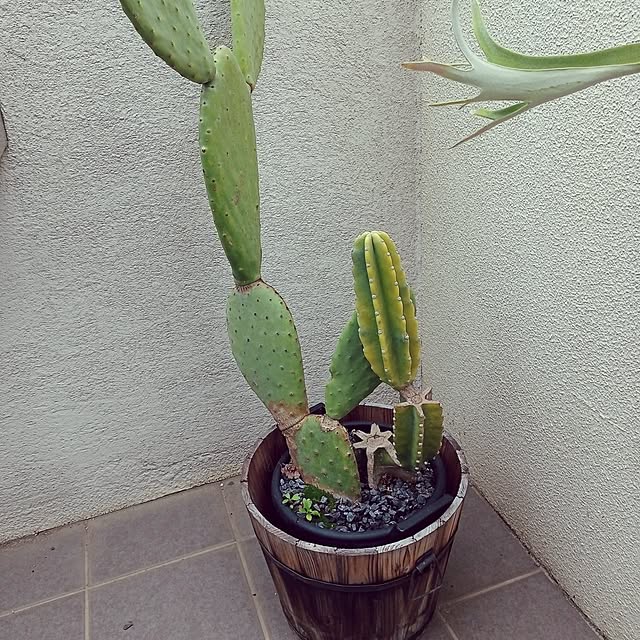 brooklynさんの部屋