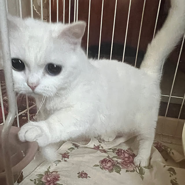 AYUKOさんの部屋