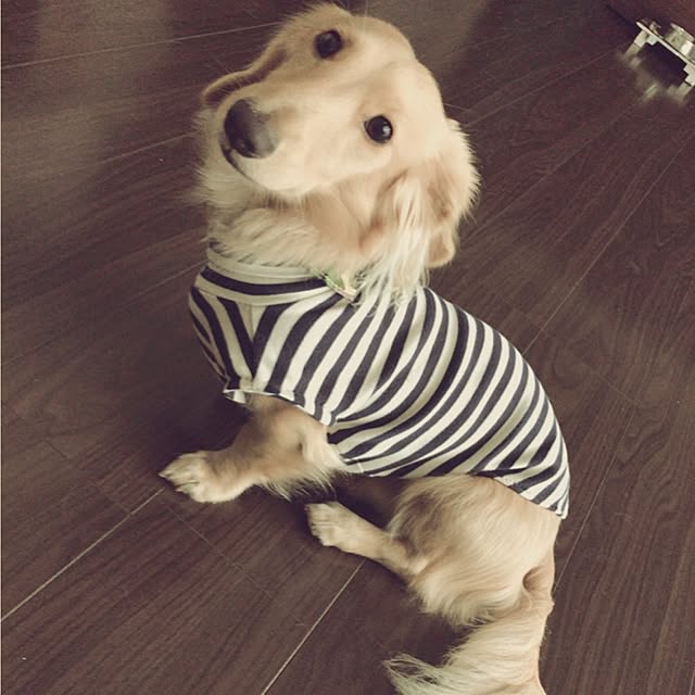 -Riley-mama.-さんの実例写真
