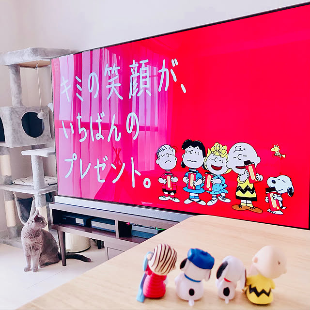 snoopyさんの実例写真