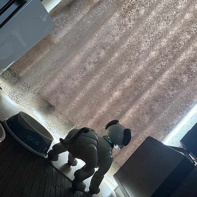 aureaさんの部屋