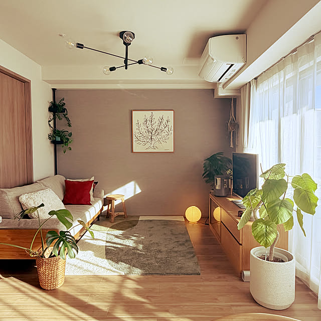 Anthuriumさんの部屋