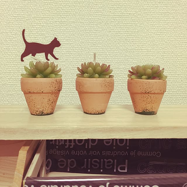 keiko.aさんの実例写真