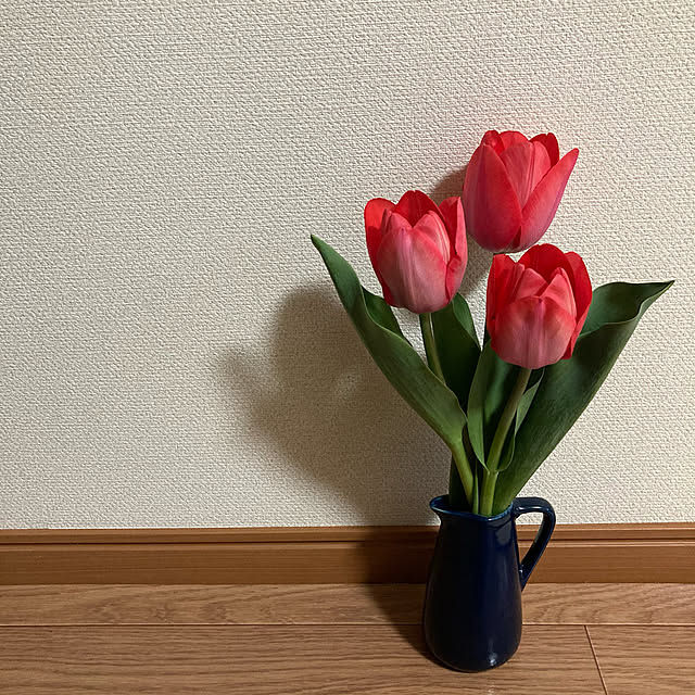 Cocoさんの実例写真