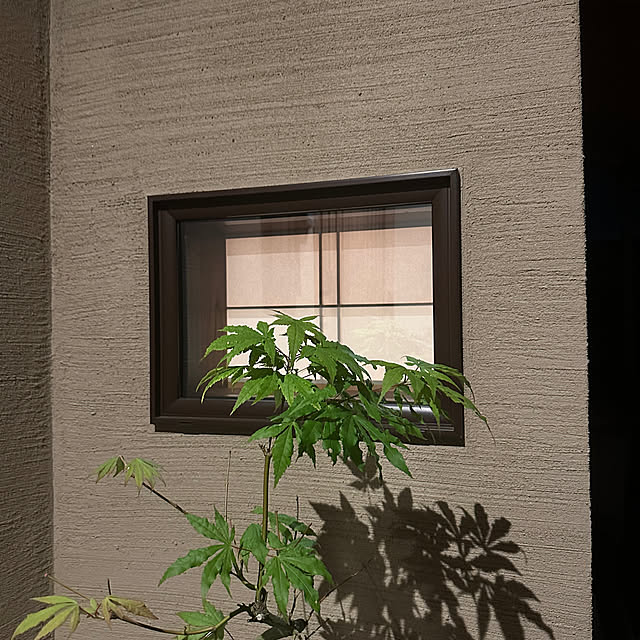 tatsumiさんの部屋