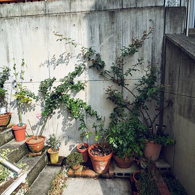 kazuさんの部屋