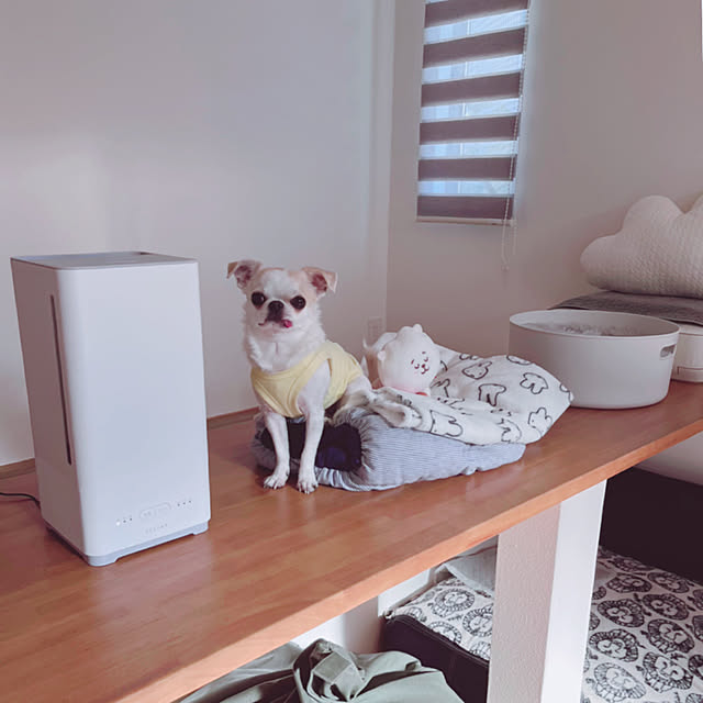 Emiさんの実例写真