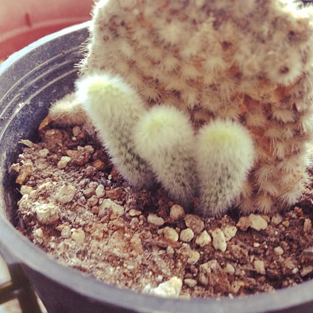 563kさんの実例写真