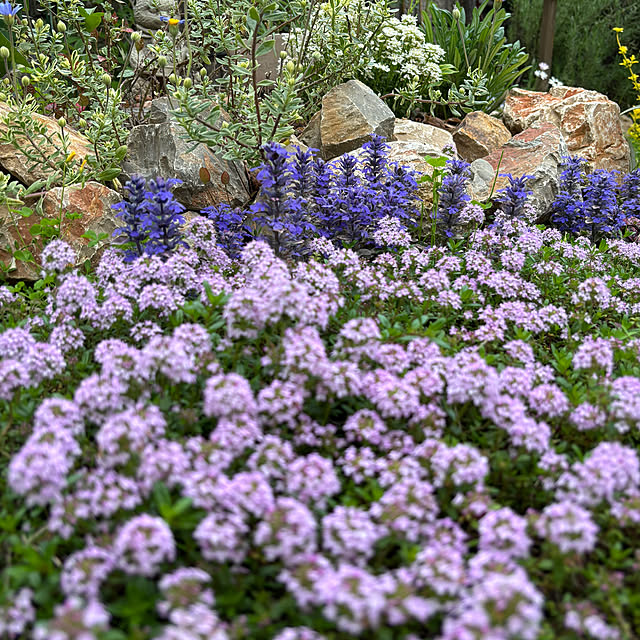 madeleineさんの部屋