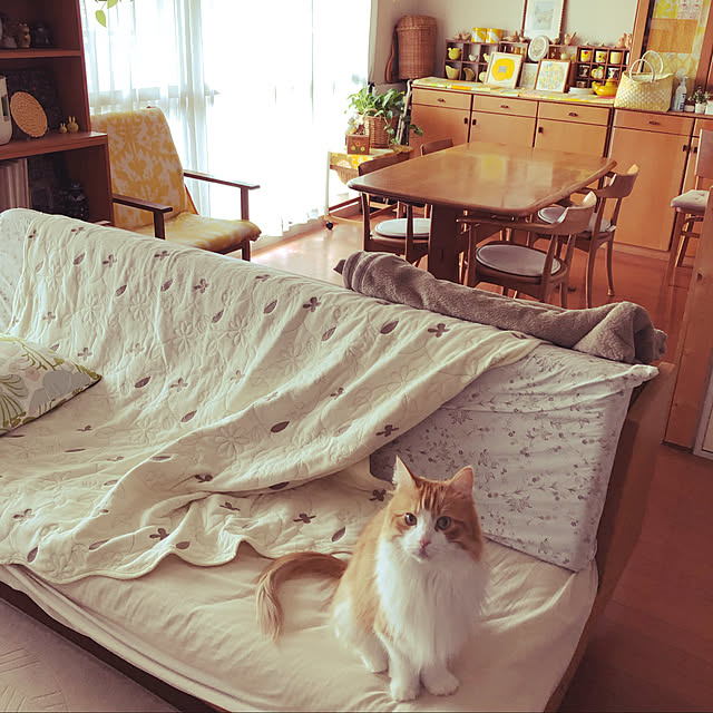uchidaizuさんの実例写真
