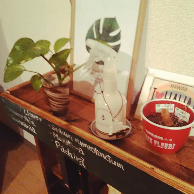 tsanさんの実例写真