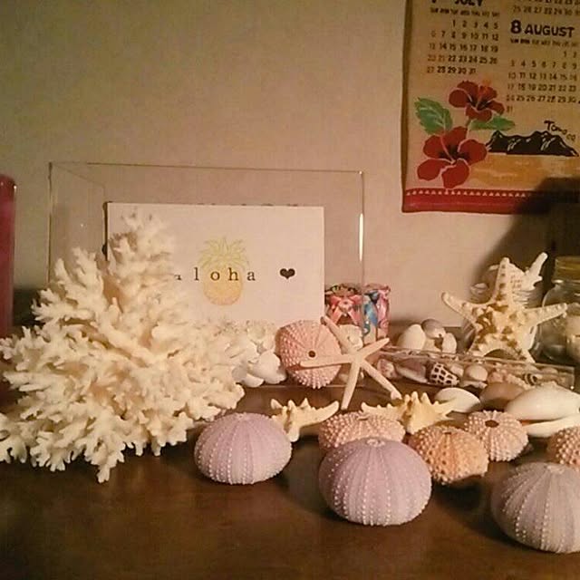 uran394さんの実例写真