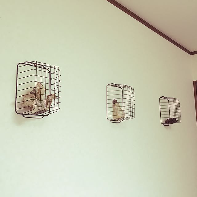 prosciuttoさんの実例写真