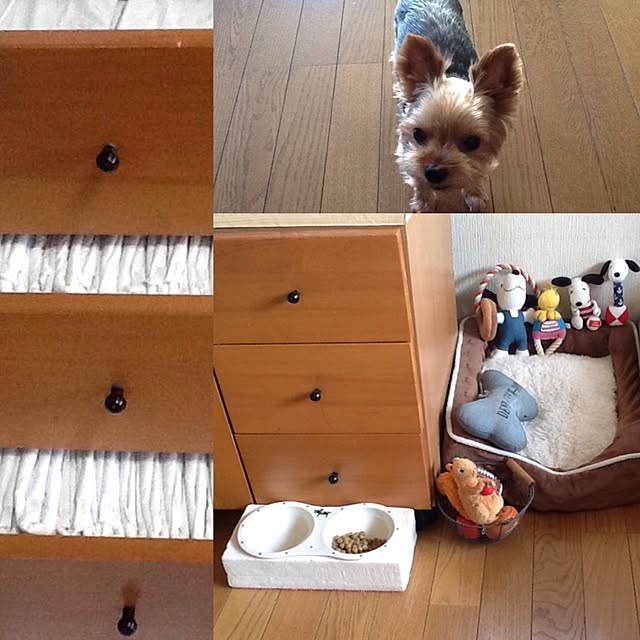 Mikaさんの実例写真