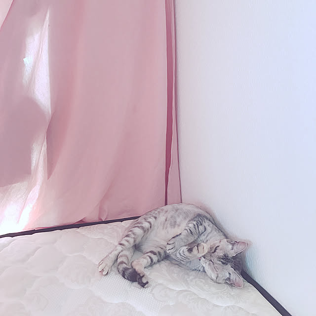 sakuraxsakuさんの実例写真