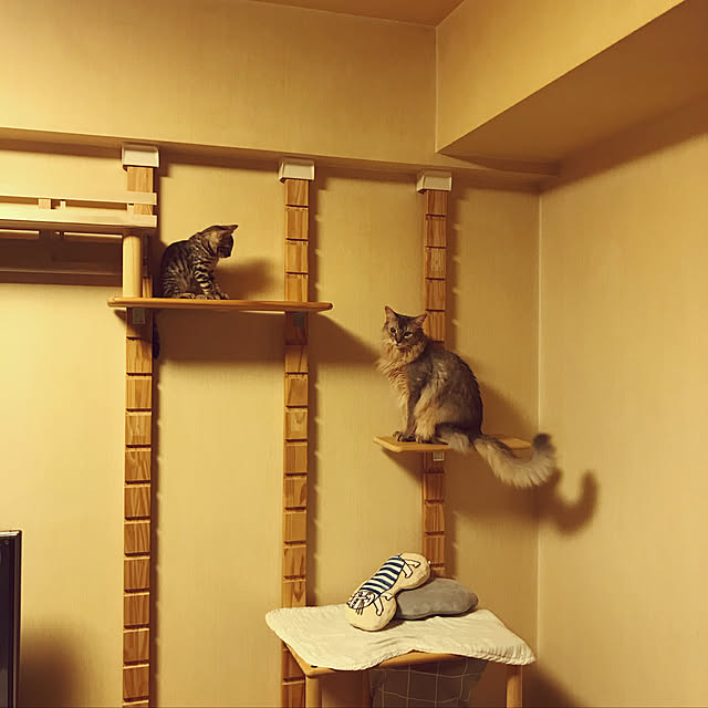 yumuyumuさんの実例写真