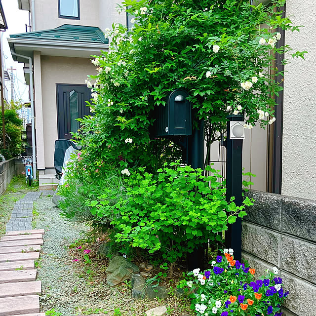 akanekoさんの部屋