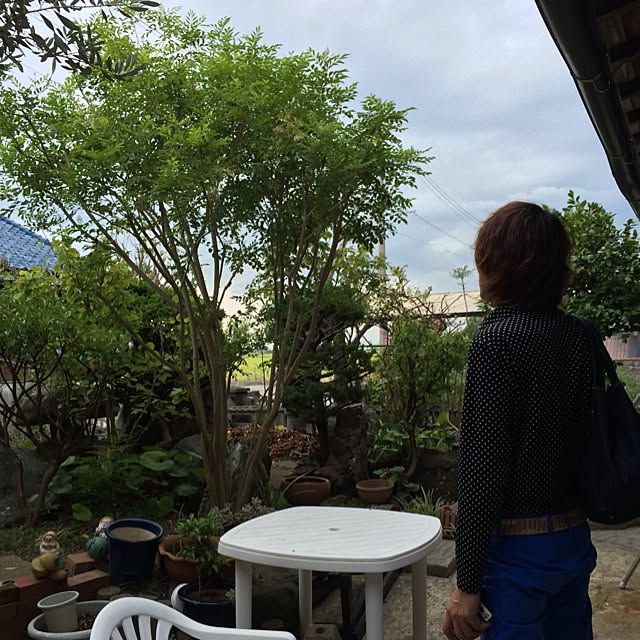 yukiさんの実例写真
