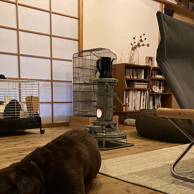 yukikoさんの実例写真