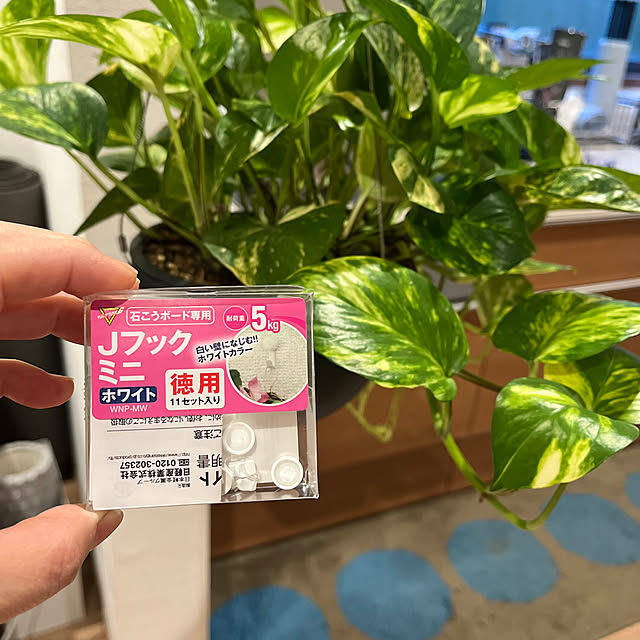 Attaさんの部屋