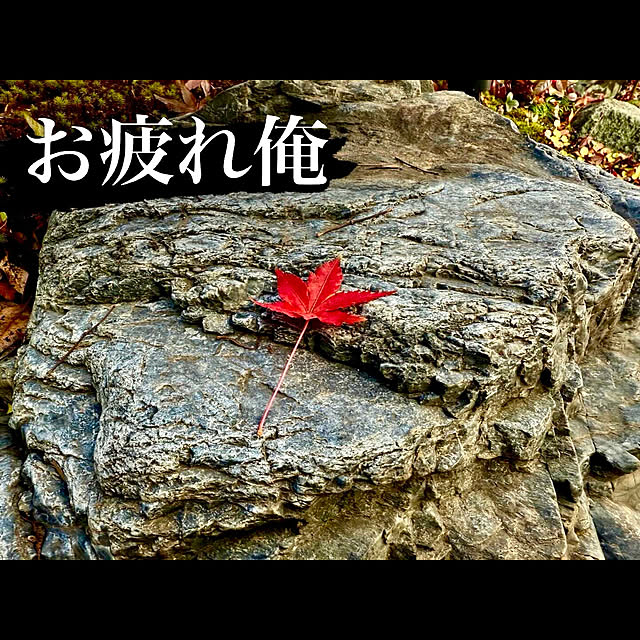 tamabaka1971さんの部屋