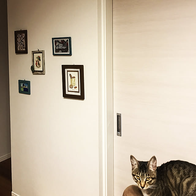 Yuliさんの実例写真