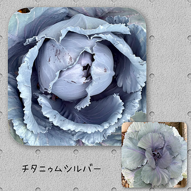 buchiさんの部屋