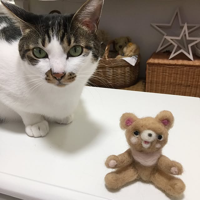 yuchiさんの実例写真