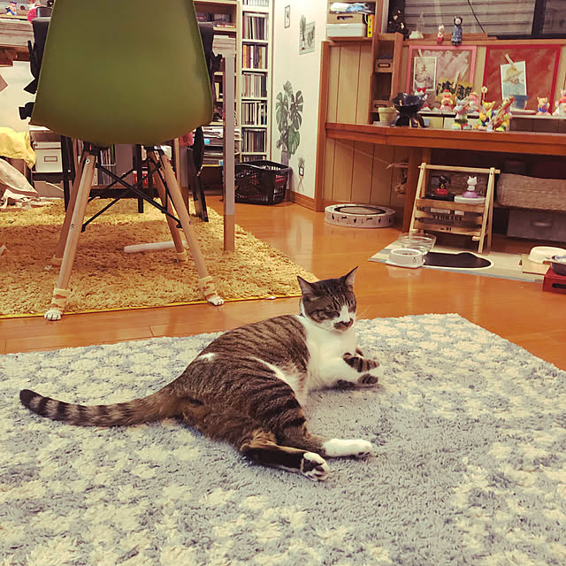 jijiさんの実例写真