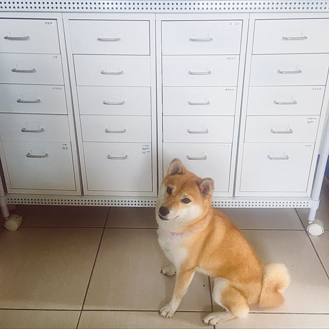 Maggieさんの実例写真