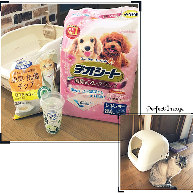 mieさんの実例写真