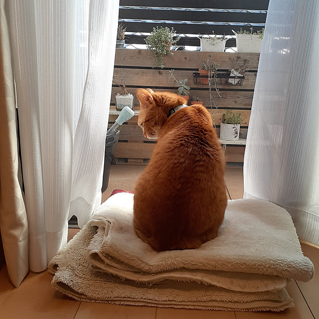 amtさんの実例写真