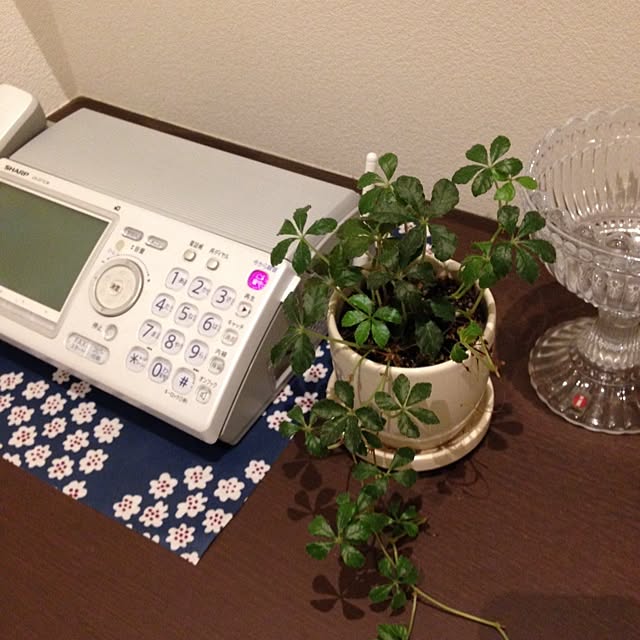 Yukaさんの実例写真